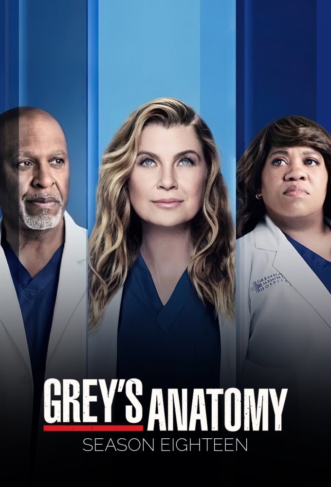 Grey's Anatomy - Season 18 [134887] (A1774148630) [[Shows 2.0]] --Plex--